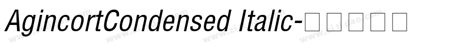 AgincortCondensed Italic字体转换